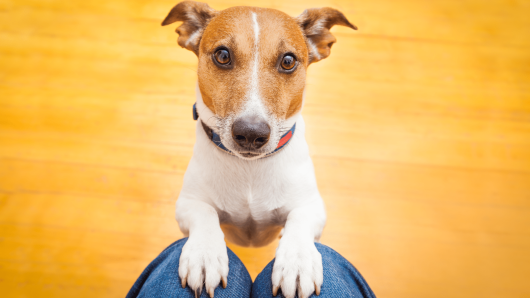 20220324 -- Meta’s Dying Plea to Keep Creators on Instagram -- Lex