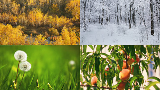 20250821 -- Optimizing PPC Campaigns for Seasonal Peaks A Smart Guide for Google & Microsoft Ads -- John S.